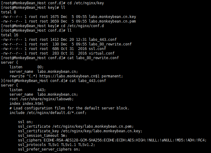 https_nginx_config