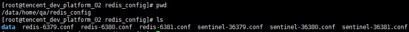 redis_config_file