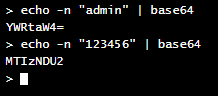 echo_pwd_base64